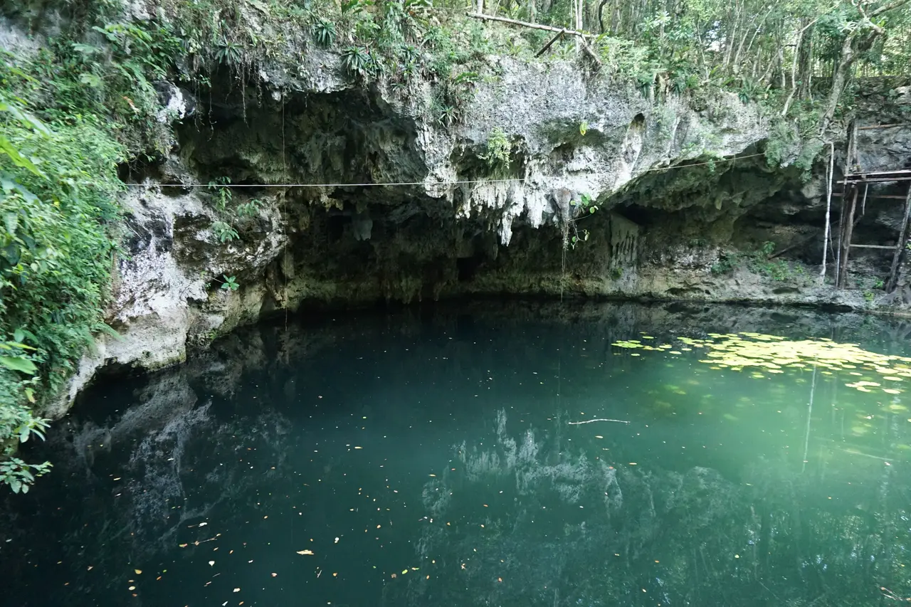 Open-air cenote surrounded by greenery